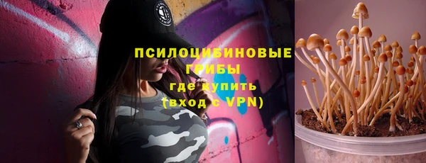 крисы Аркадак