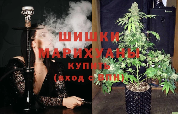 крисы Аркадак
